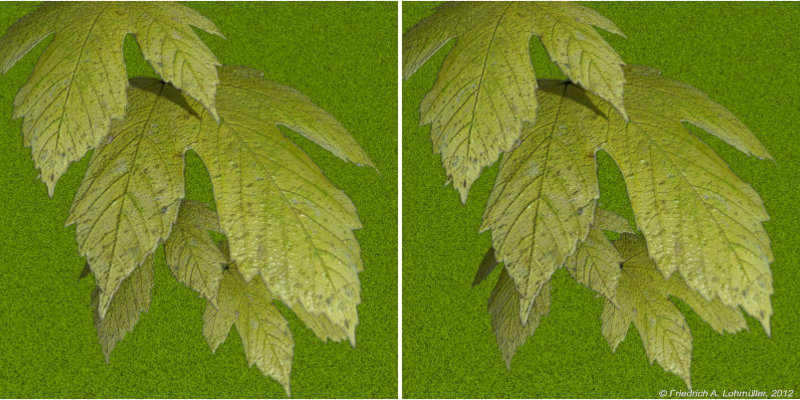 Acer Leafs Stereo