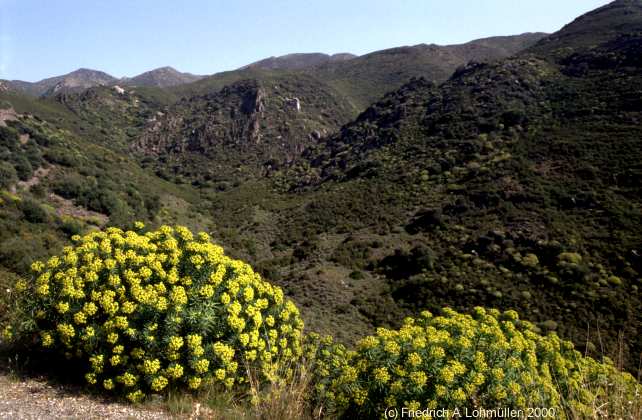 Nella montagne vicino a Iglesias