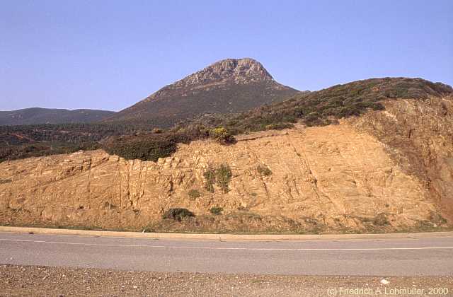 Punta de su Guardianu